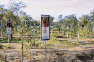 Mémorial Nova