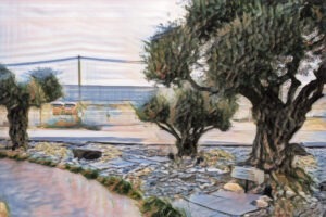 Moshav Nétiv Ha Hassarah