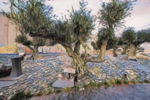Moshav Nétiv Ha Hassarah